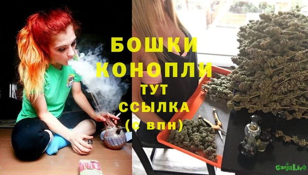 PSILOCYBIN Бородино