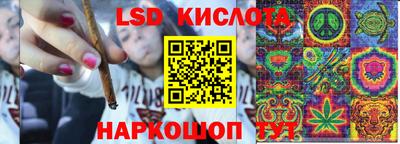 стаф Канаш