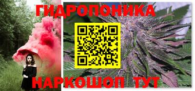 стаф Канаш