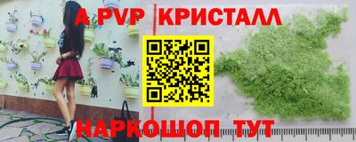 стаф Канаш