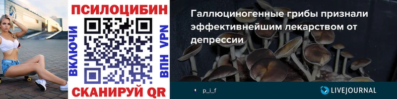 ссылка на мегу вход  Лениногорск  Галлюциногенные грибы GOLDEN TEACHER 