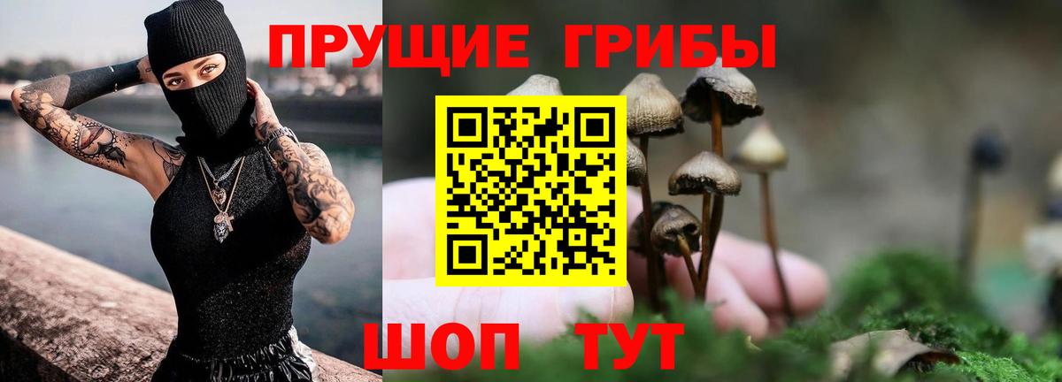 как найти наркотики  Псилоцибиновые грибы GOLDEN TEACHER  Вход с VPN  Лениногорск 