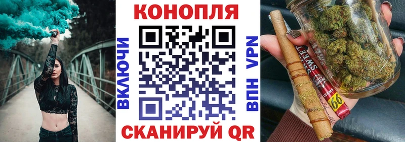 Бошки Шишки план Лениногорск